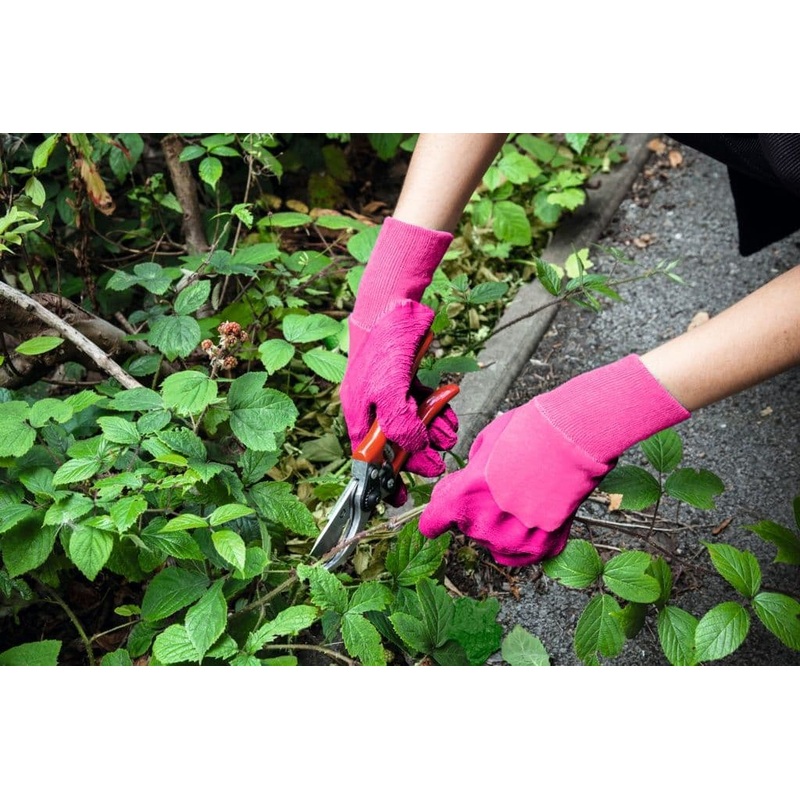 Ambassador Ladies Latex Heavy Duty Glove Pink – Med