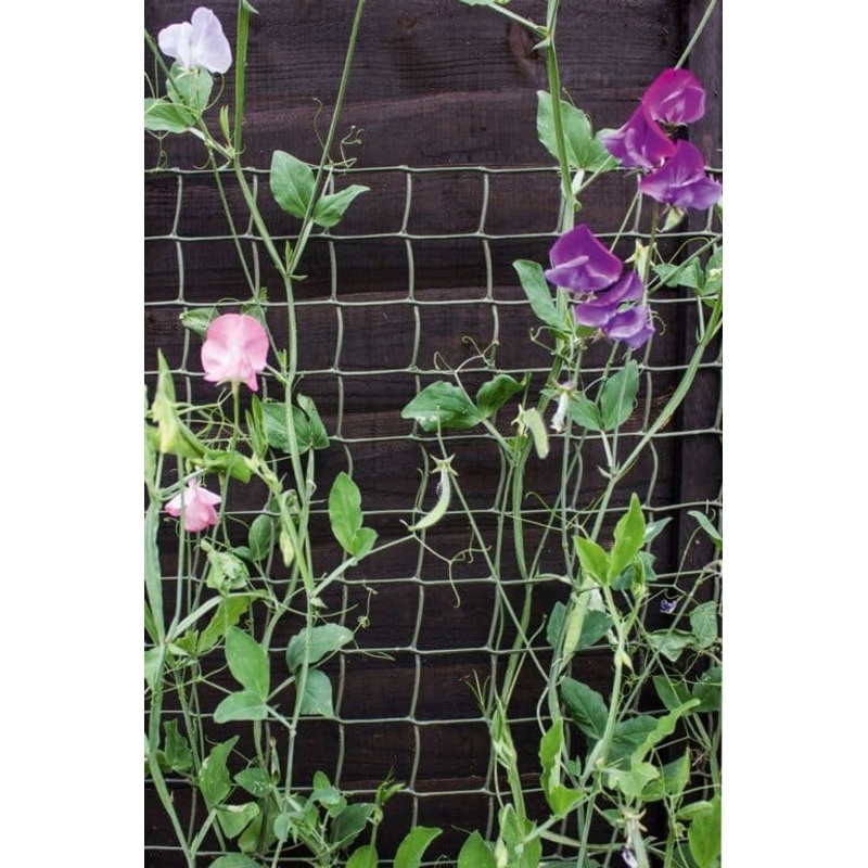 Ambassador Climbing Plant Support Tan – 30 x 1m