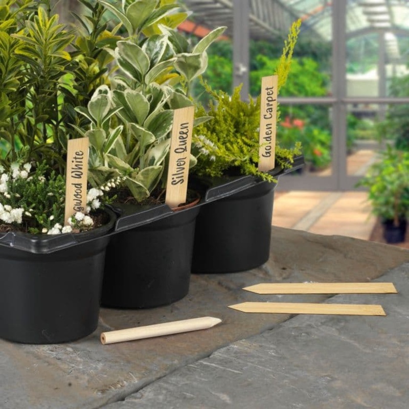 Ambassador Bamboo Plant Labels & Pencil 10 Piece – 6