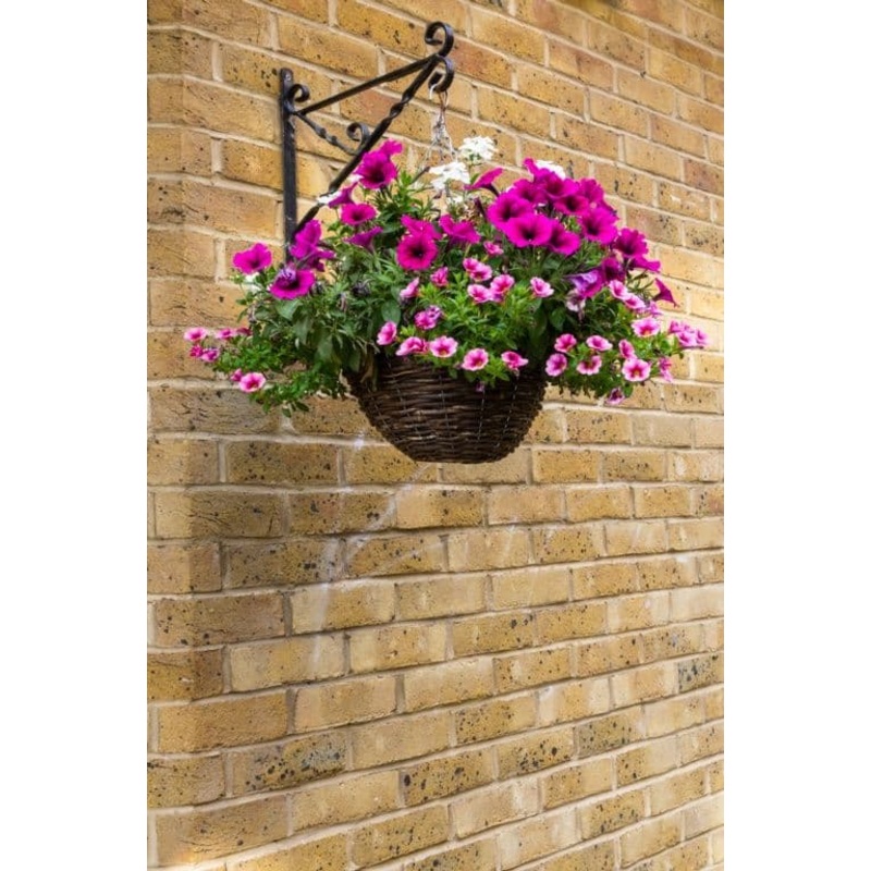 Ambassador Willow Hanging Basket – 16