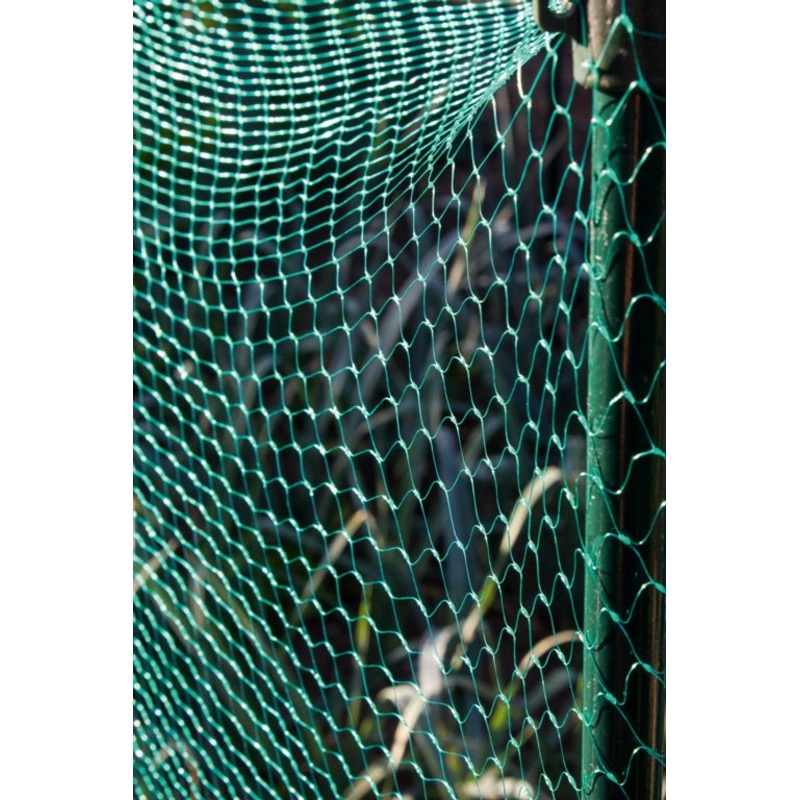 Ambassador Garden Net Green – 100m x 2m