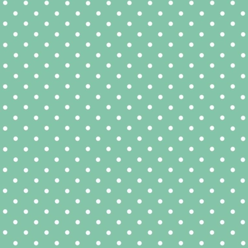 d-c-fix Self Adhesive Film – Petersen Mint – 45cm x 2m