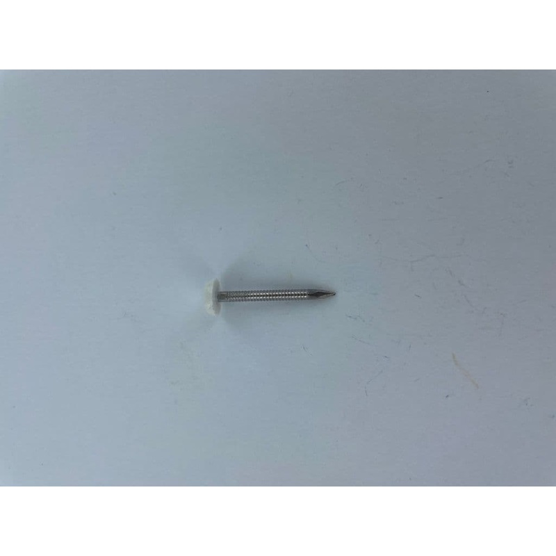 Securfix Stainless Steel Plastic Headed Nail White 40mm – 50 Pack
