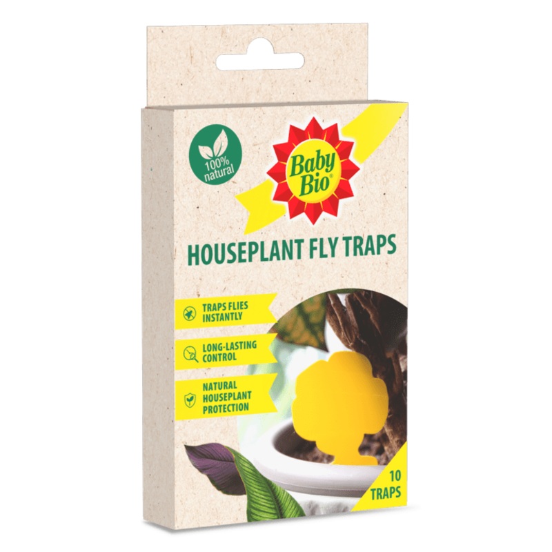 Baby Bio Houseplant Fly Traps – Pack 10