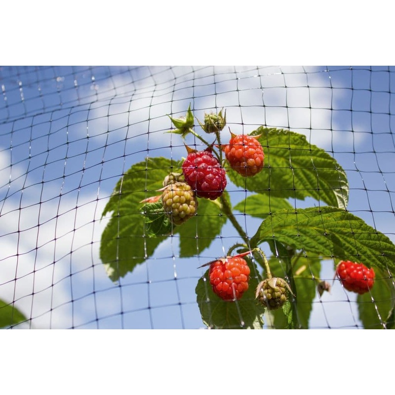 Ambassador Black Fruit Cage Net – 150m x 2m