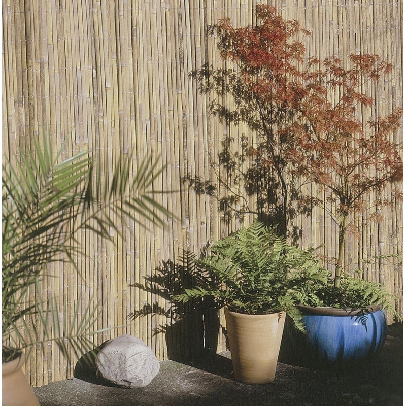 Ambassador Half Bamboo Screening – 4m x 1m