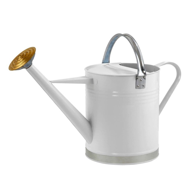 Ambassador Metal Watering Can – Cream  2 Gallon