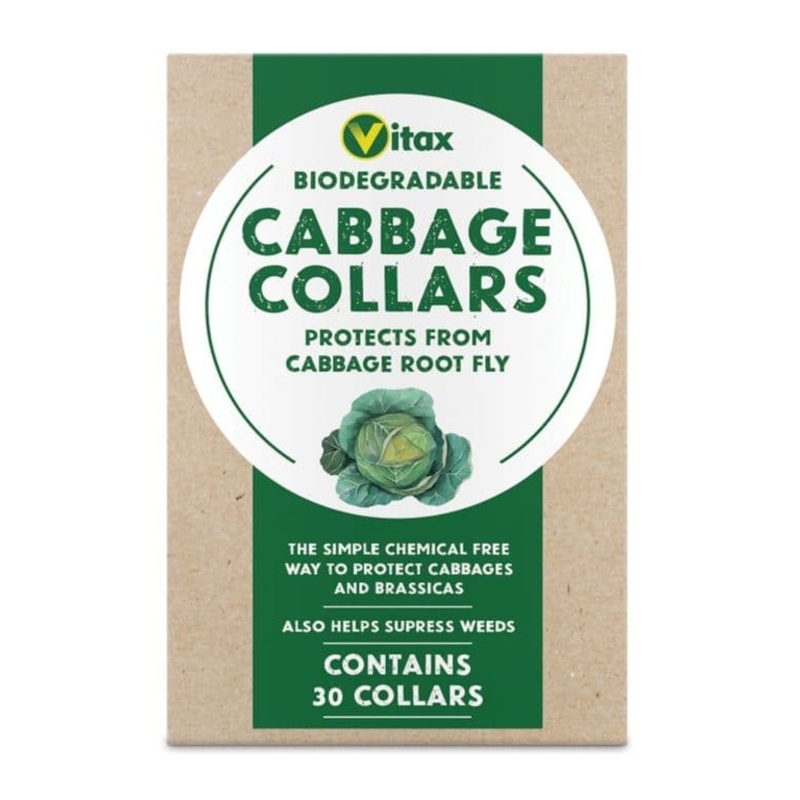 Vitax Cabbage Collars – Pack 30