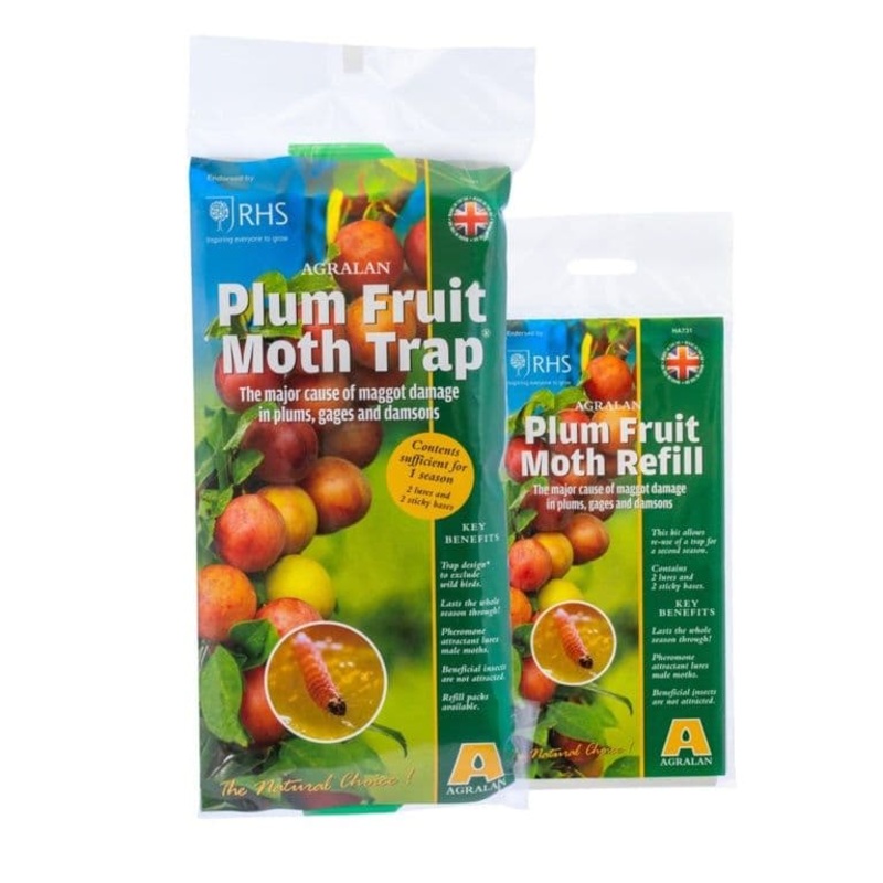 Agralan Plum Fruit Moth Trap – Protects up to 3 trees