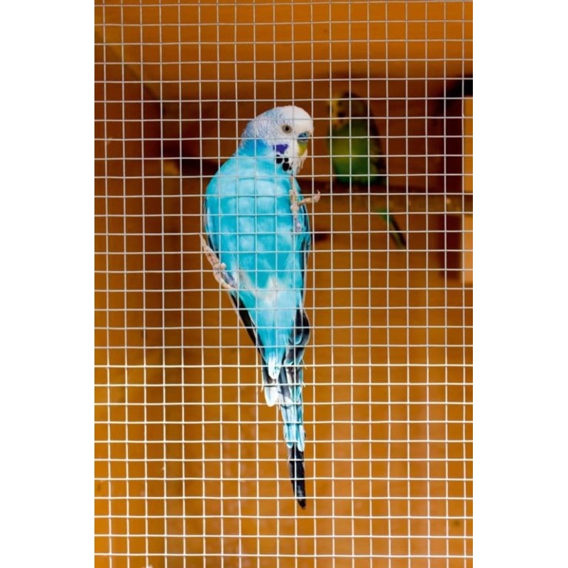 Ambassador Cage & Aviary Welded Panel – 0.6 x 0.9m Mesh size: 13x13mm