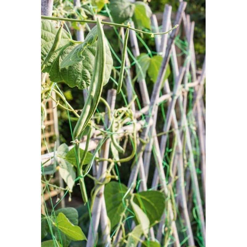 Ambassador Pea & Bean Net – 4 x 2m