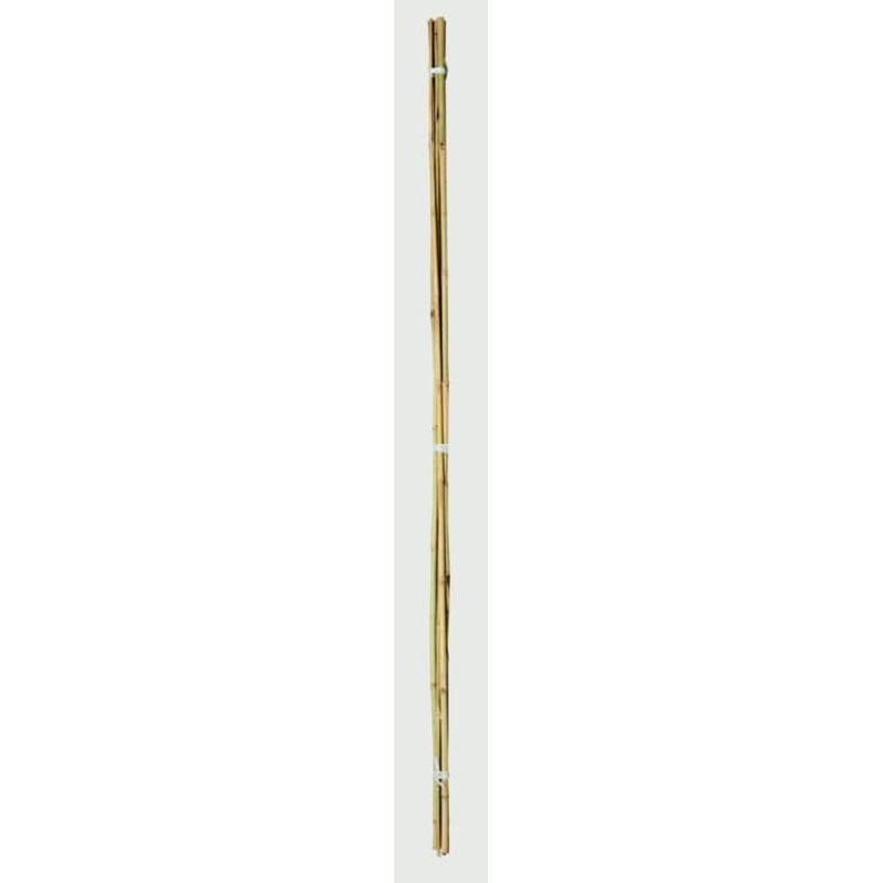 Ambassador Bamboo Canes – 3′ Pack 20
