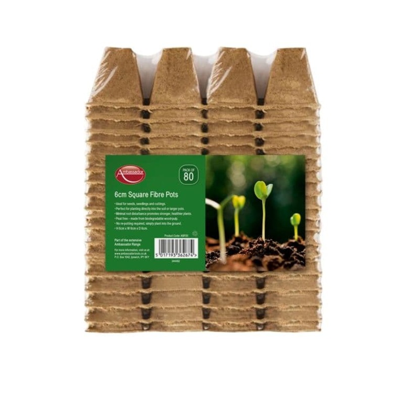 Ambassador Square Fibre Pots – 6cm – Pack 80