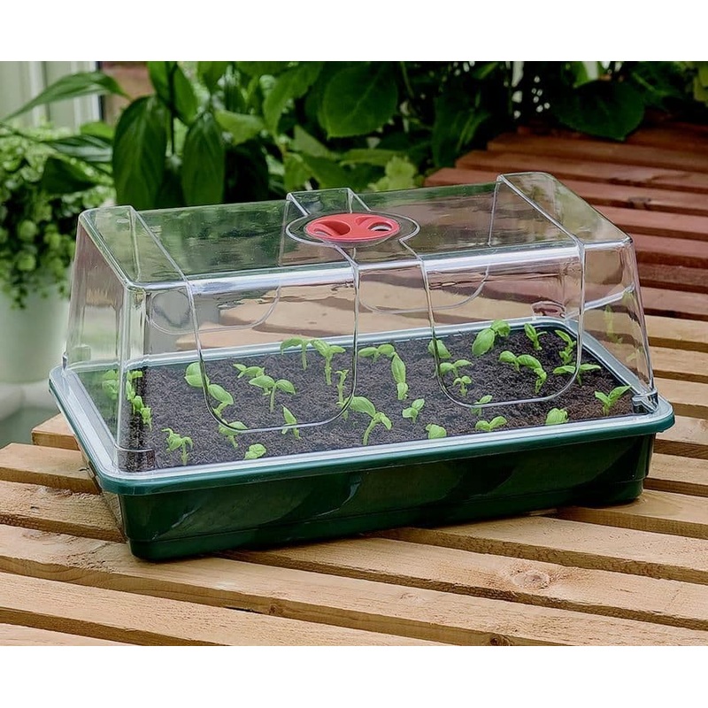 Garland High Dome Propagator – Large