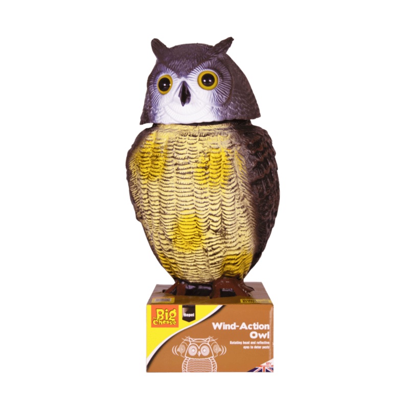 The Big Cheese Wind Action Owl