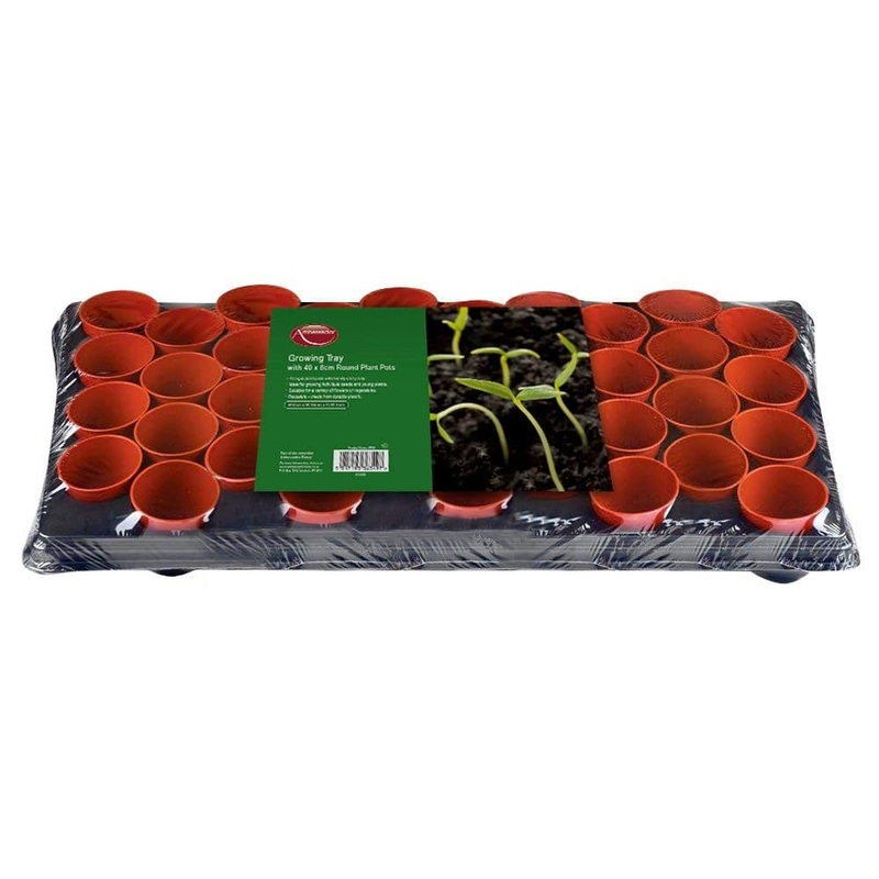 Ambassador Growing Tray – With 40 Round Pots