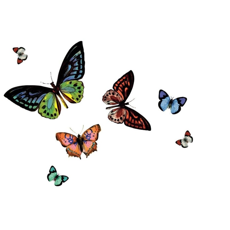 d-c-fix Rio Butterfly Transparent Wipe Clean Placemat – Pack 16