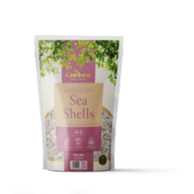 Deco-Pak Chelsea Horticultural Sea Shells – Handy Bag