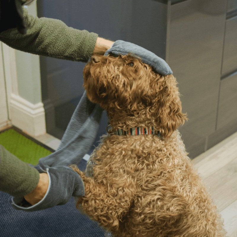 Henry Wag Pet Glove Towel – 100×22