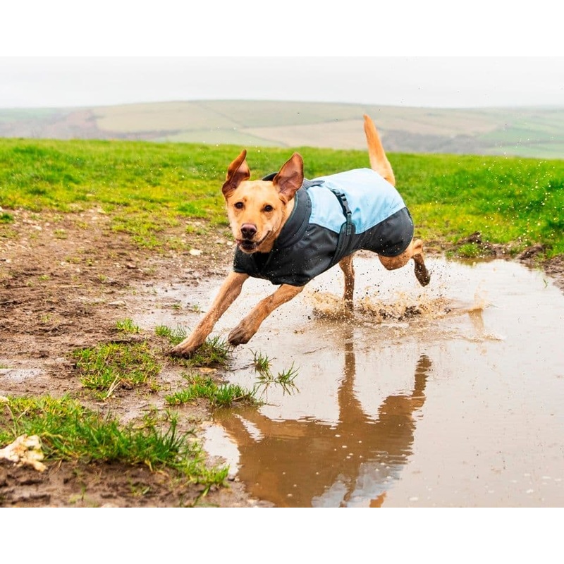 Henry Wag Waterproof Dog Coat – Large 55cm