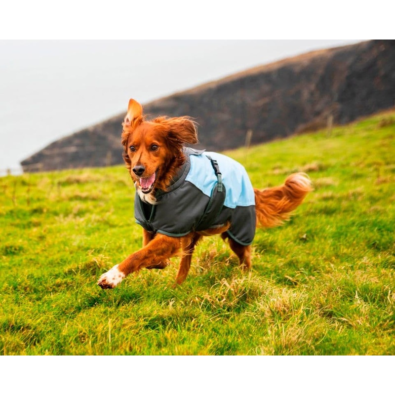 Henry Wag Waterproof Dog Coat – Medium 45cm