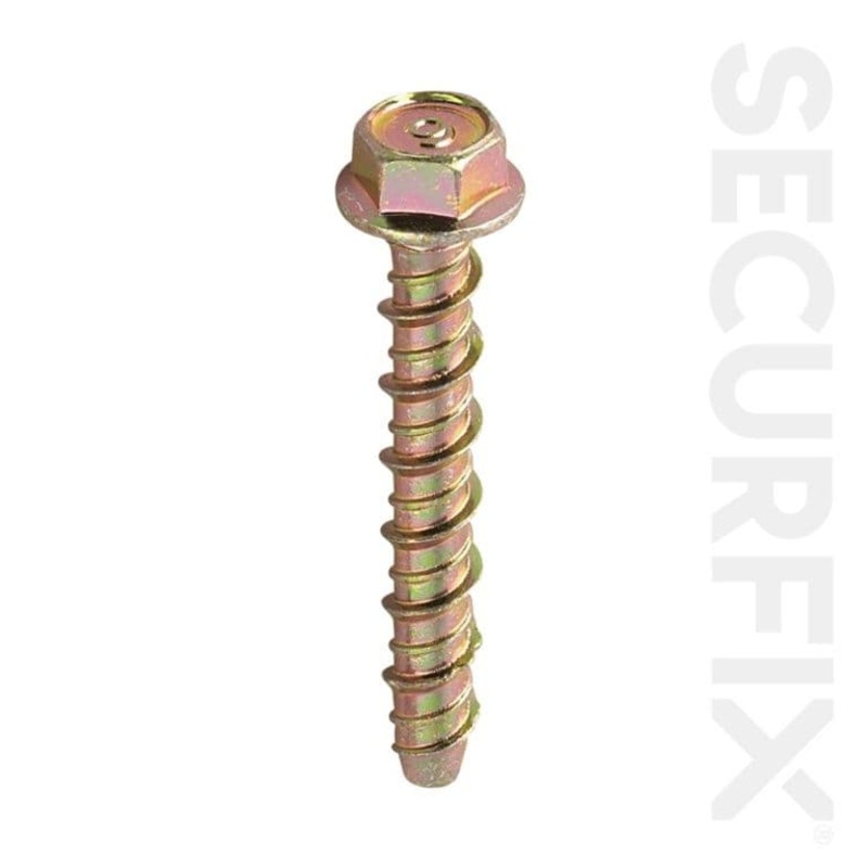 Securfix Concrete Bolt 10 Pack – M12 x 100mm