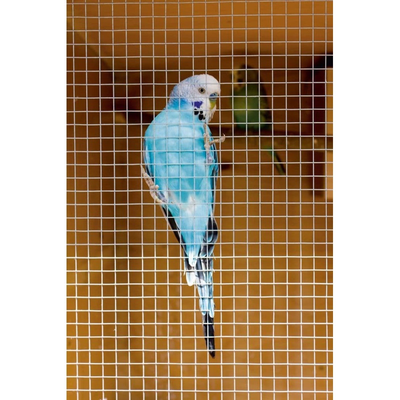 Ambassador Cage & Aviary Welded Panel – 0.6 x 0.9m Mesh size: 50 x 50mm