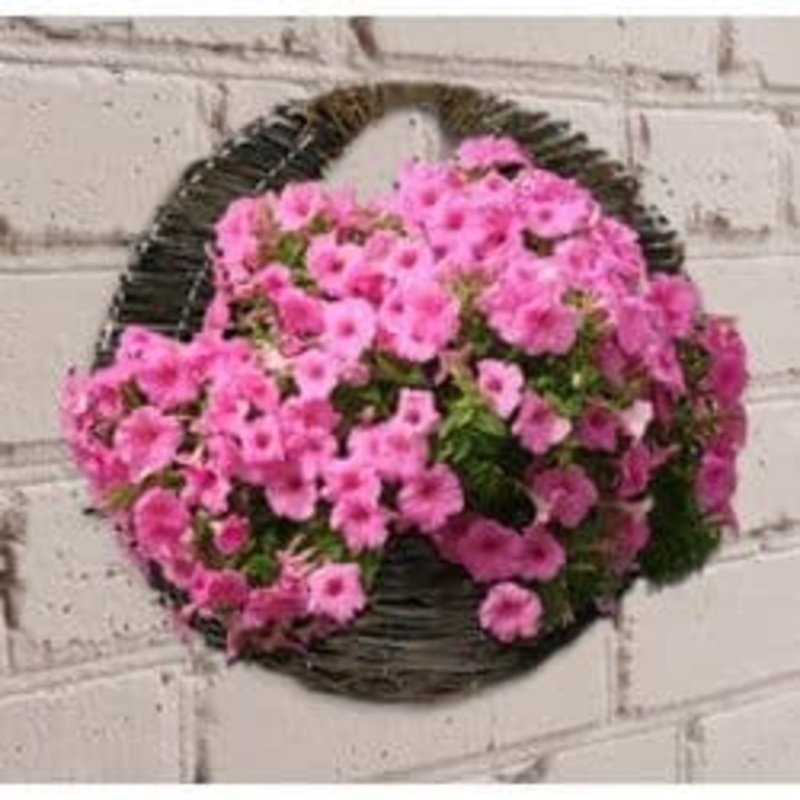 Ambassador Willow Wall Basket – 16