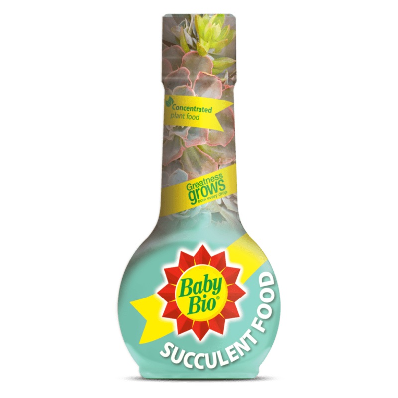 Baby Bio Succulent Plant Feed – 175ml