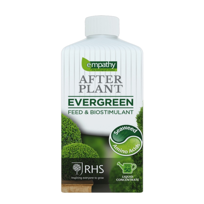 Empathy After Plant Evergreens – 1L
