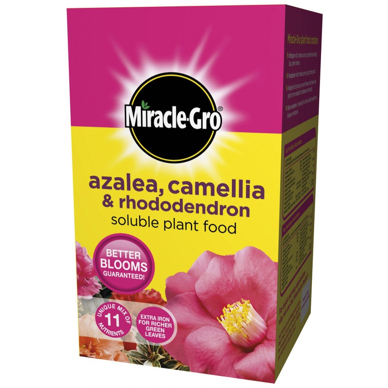 Miracle-Gro Azalea, Camellia & Rhododendron Soluble Plant Food – 1kg