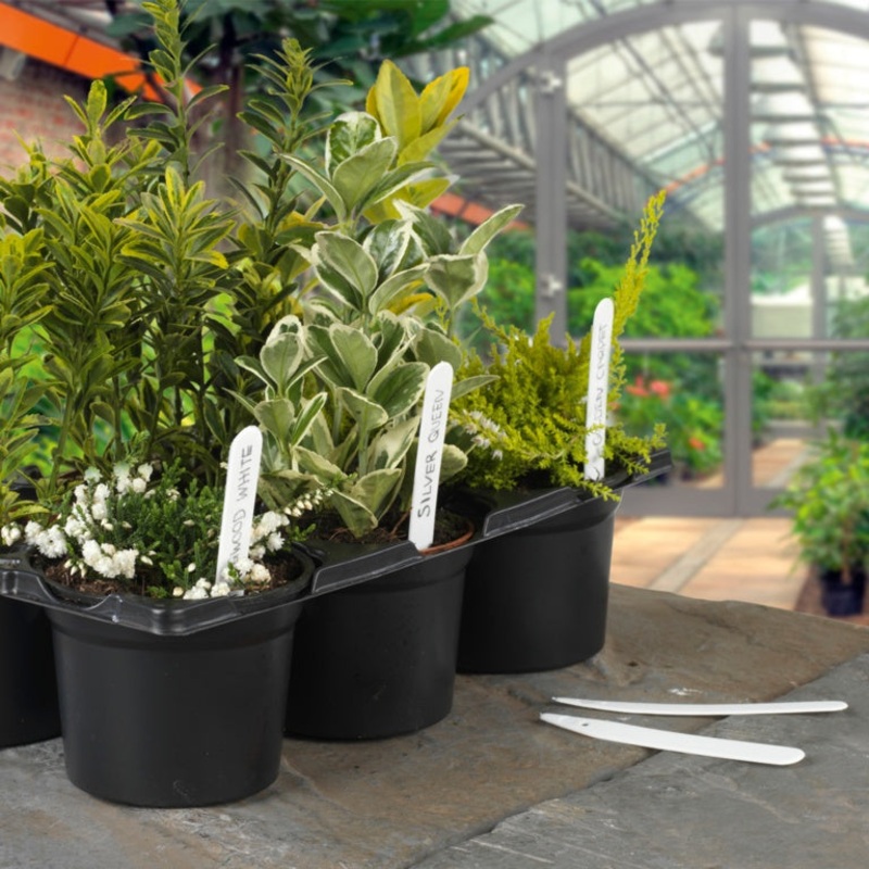 Ambassador Plant Labels – 4 (10cm)