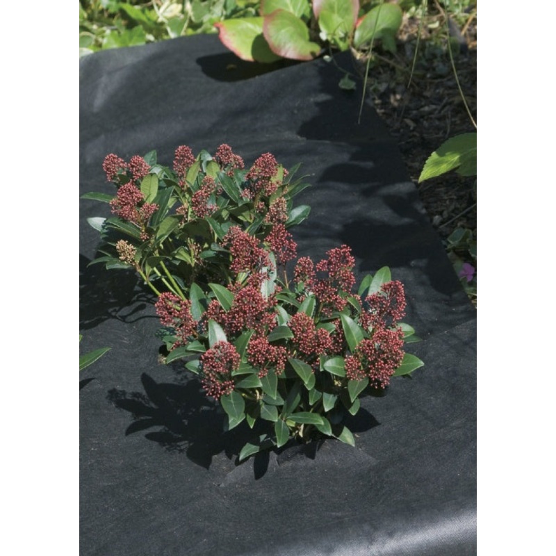 Ambassador Weed Control Fabric – 50x1m
