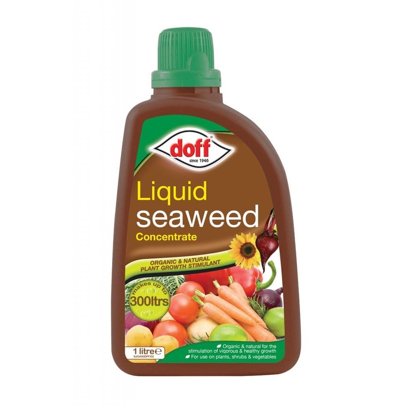 Doff Liquid Seaweed Plant Feed – 1L