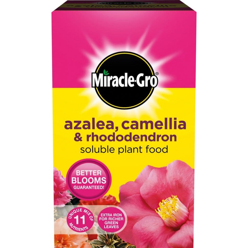 Miracle-Gro Azalea, Camellia & Rhododendron Soluble Plant Food – 500g Carton
