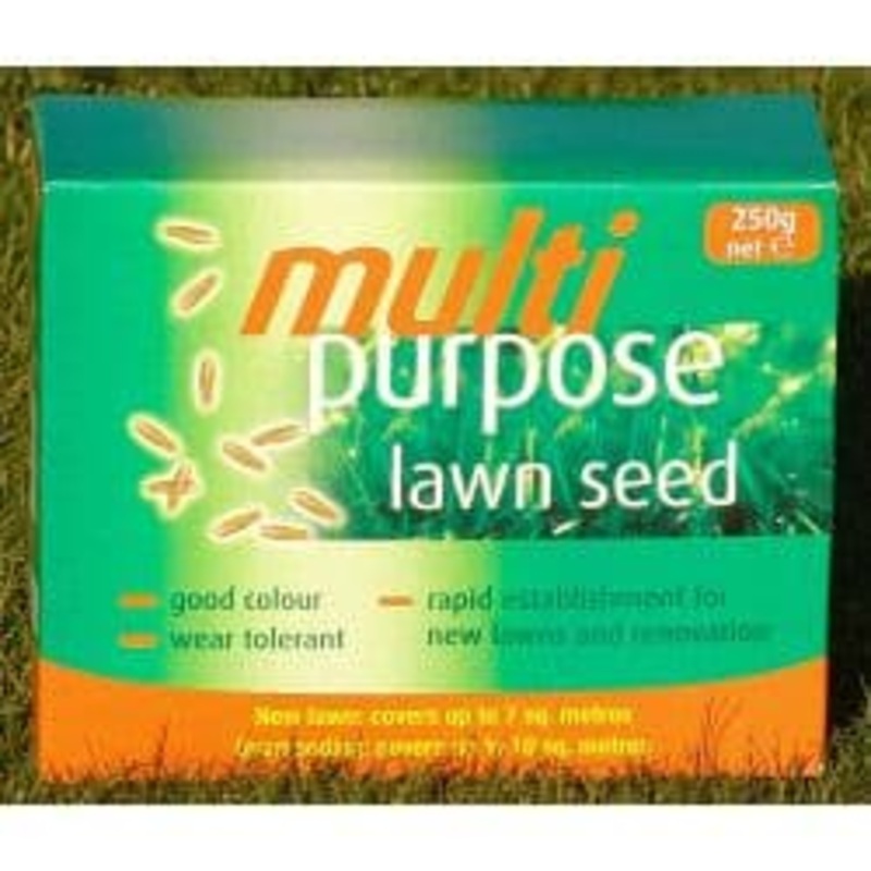 Johnsons Lawn Seed Multi Purpose – 250g Carton Patch-Pack