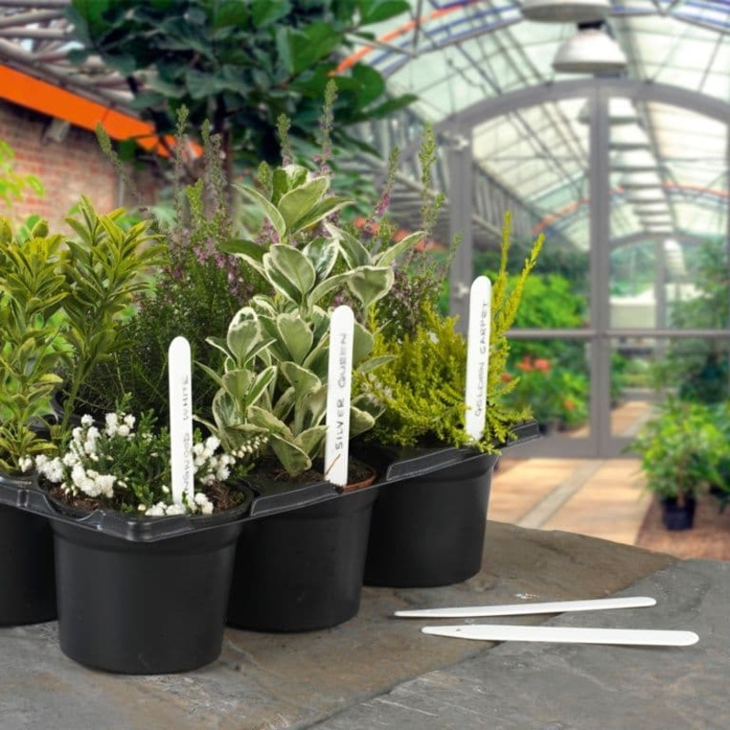 Ambassador Plant Labels – Pack 100 5 (10cm)