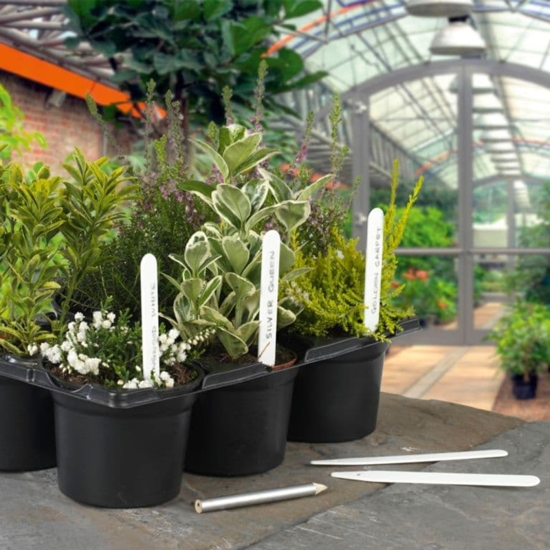 Ambassador Plant Labels – Pack 50 5