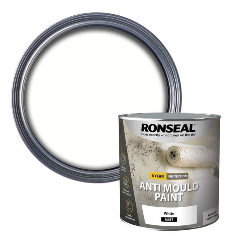 Ronseal 6 Year Anti Mould Paint 2.5L – White Matt