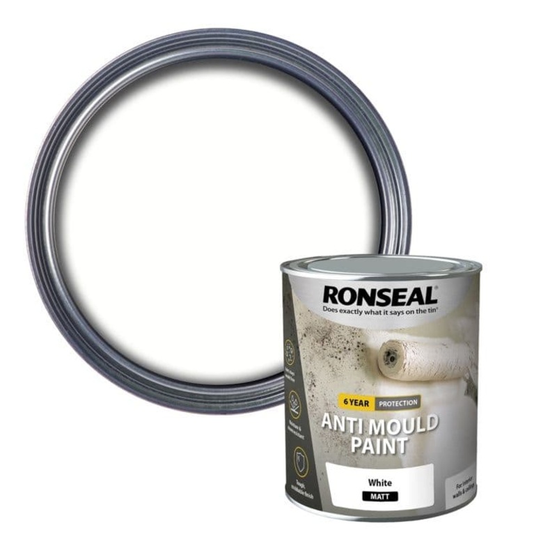 Ronseal 6 Year Anti Mould Paint 750ml – White Matt